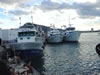 Fishing boats in Altea harbour